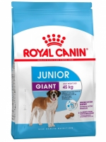 Royal Canin "Giant Junior" для щенков очень крупных пород